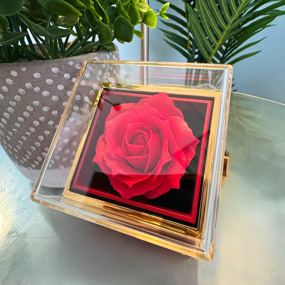 Let's Start Over - Love Knot with Rotating Rose Gift Box