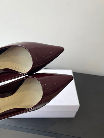 Dior Pointed High-Heel Pumps – 25SS Spring/Summer Collection
